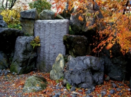 Осень в саду камней