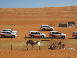 транспорт пустыни
