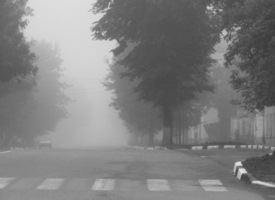 ...местами на дорогах туман