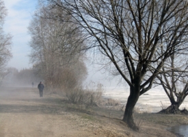 Прогулки в  весеннем тумане