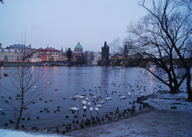 Прага, Влтава, птицы..