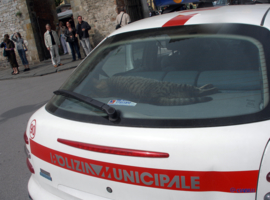 На службе в итальянской полиции