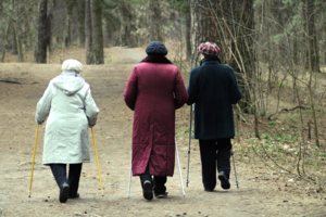 У леса на опушке гуляли три старушки.