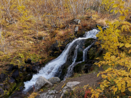 Водопад и листопад