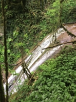 Лесной водопад