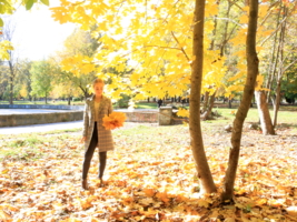 Солнце, осень, листья