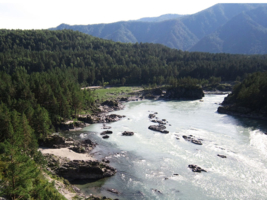 Слияние рек Чемал и Катунь