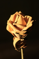 Роза из бересты