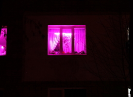 Фиолетовое в ночи
