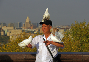 Турист и голуби