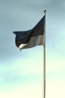 Эстонский флаг.