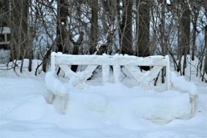 Парковая скамейка во власти снега.