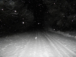 Ночь. Дорога. Снегопад