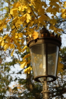 Фонарь на фоне золота листвы