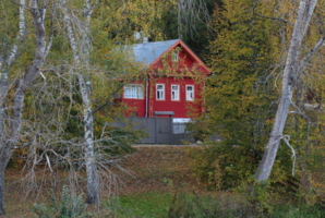 красный дом