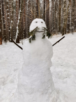 Снеговик-лесовичок