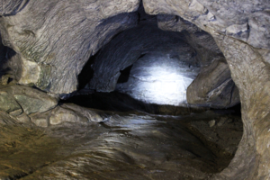 Где-то в пещерах Алтая