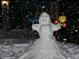 Как отличить Снеговика от Снежной бабы?