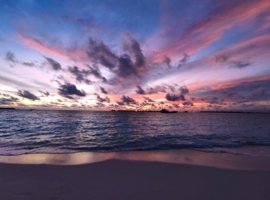 Этюд в багровых тонах