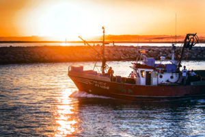 Жаркий закат