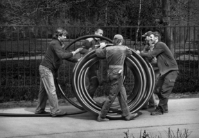 Весело и дружно!