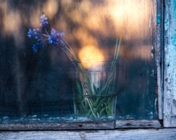 Солнце в стакане