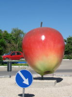 Просто яблочко