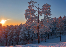 На закате дня