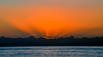 Купание в лучах солнца