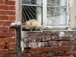 На фоне лучей