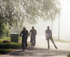 мама,папа и я