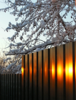 Отблеск  заката.