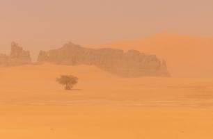 Стон пустыни