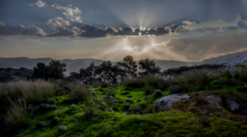 На рассвете