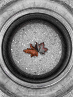 Осень в большом городе