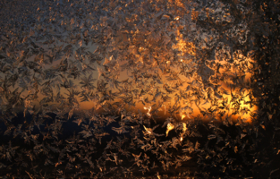 Вечерняя сказка