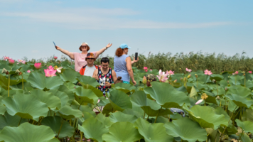 Встреча с прекрасным