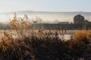 Без названия