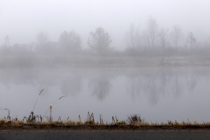 По мотивам Рейн II