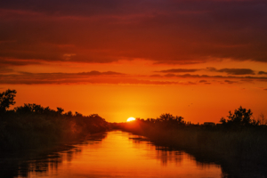 Однажды вечером