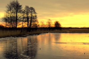 На рассвете...