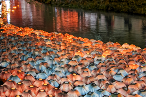 Фонарики желаний