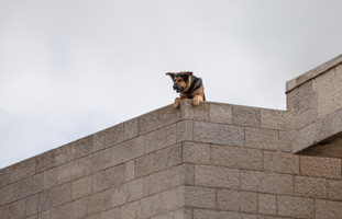 "Просто брехня"