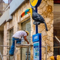 Тукан тебе в помощь