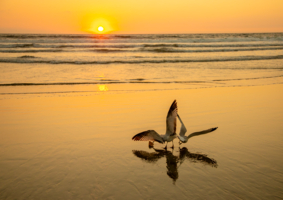 Оранжевое настроение