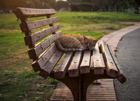 Рассвет. С первыми лучиками солнца.