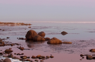 Розовый вечер