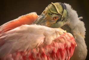 Кому как,а мне Мягко...