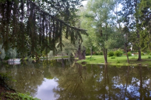 Утро в Болдино