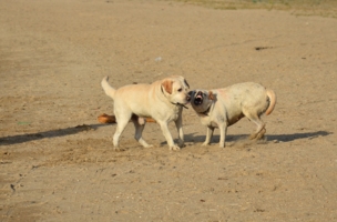 дама настроена жёстко